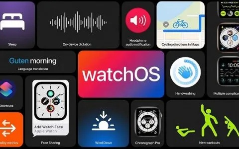 wireapp官方下載,前沿說明解析 watchOS_v7.758