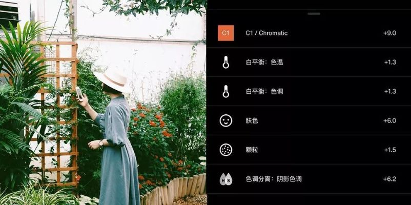 vsco官方下載蘋果,深入解析數(shù)據(jù)應用&amp;復刻款_v9.290