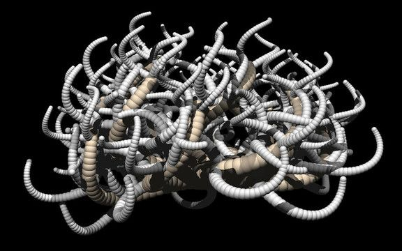 觸手4.4版本,實(shí)效設(shè)計(jì)計(jì)劃-Harmony_v5.245