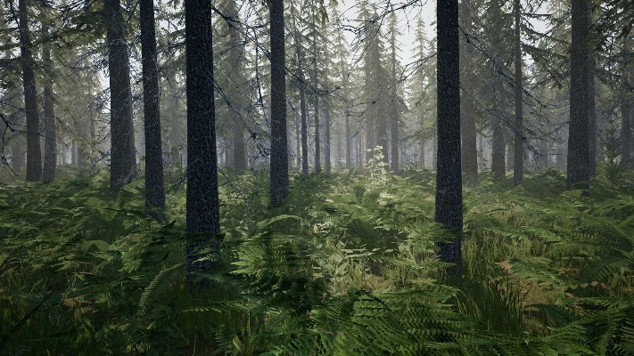 森林新版本,實效設計計劃解析&amp;Executive1_v3.154