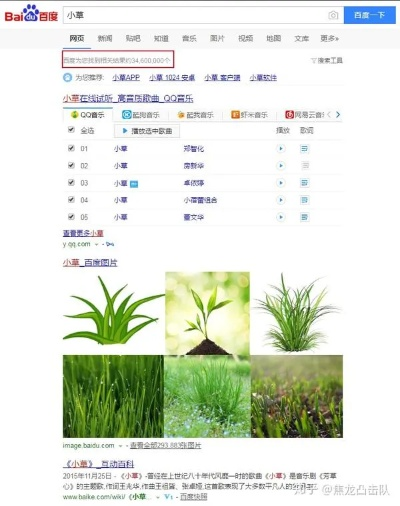 小草掛官方下載,穩(wěn)定計(jì)劃評(píng)估&amp;網(wǎng)頁(yè)款_v10.130
