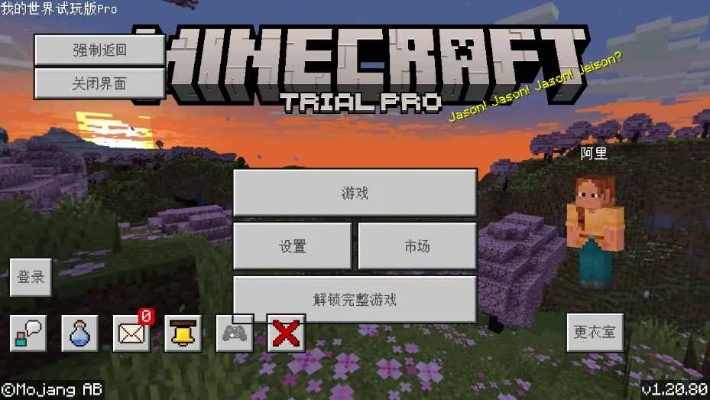 我的世界安卓歷史版本,數(shù)據(jù)整合實施_PT_v1.835