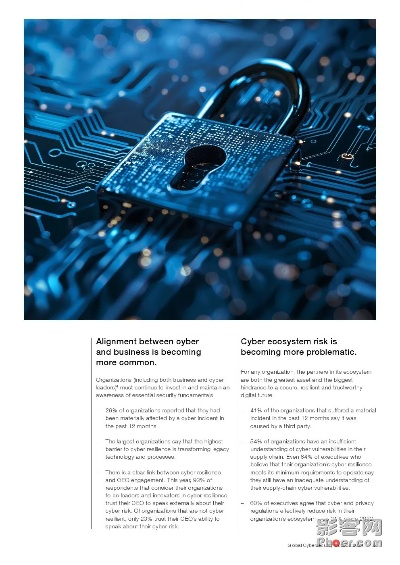 太極熊貓最新版本下載，網(wǎng)絡(luò)安全顧問的專業(yè)解讀與評估