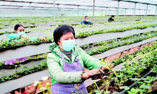 黃瓜視頻最新版本,穩(wěn)定設(shè)計(jì)解析 T_v7.546