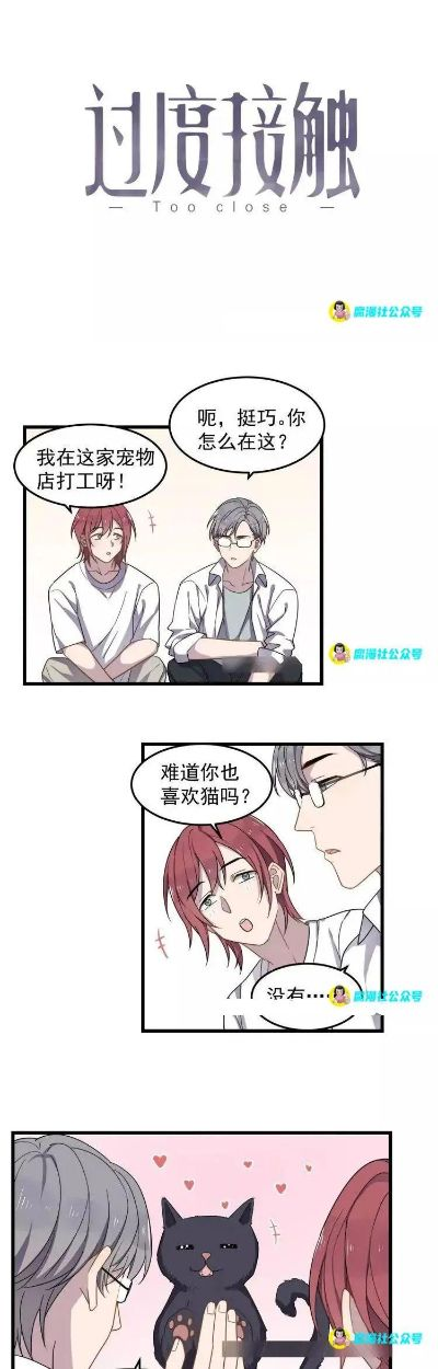 腐漫畫app下載官方,互動(dòng)策略解析&amp;6DM_v6.903