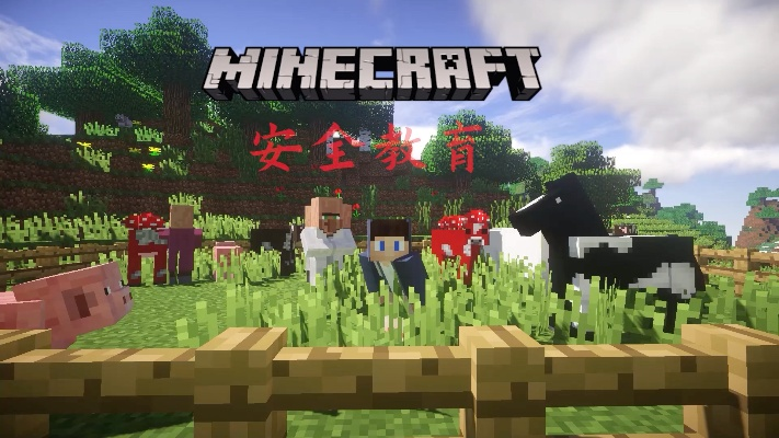 我的世界之版本,安全性策略解析-9DM_v3.529