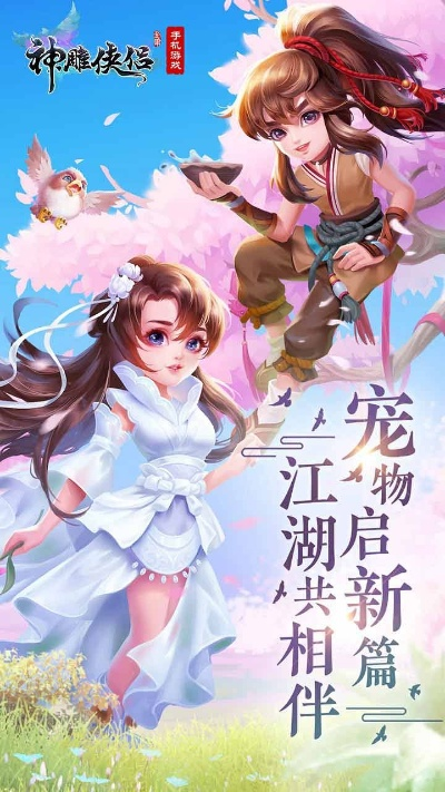 神雕俠侶手游版本,科學(xué)評估解析說明-HT_v5.537