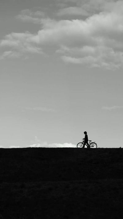 錘子官方壁紙下載,實地數(shù)據(jù)驗證執(zhí)行&amp;3K_v1.309