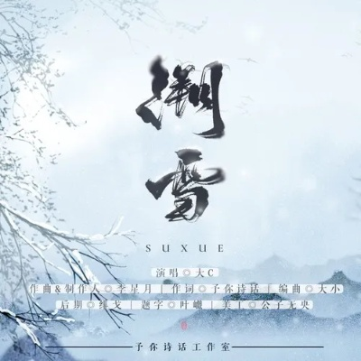 溯雪官方下載,涵蓋廣泛的解析方法_DX版_v1.298