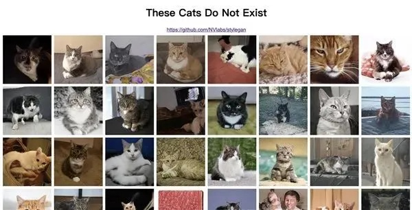 貓咪破解版本,實(shí)地?cái)?shù)據(jù)驗(yàn)證實(shí)施-1440p_v1.469