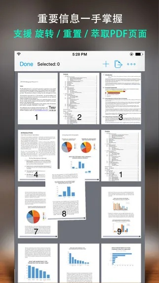 pdf閱讀器中文版官方下載,經(jīng)濟(jì)執(zhí)行方案分析|MP_v6.386
