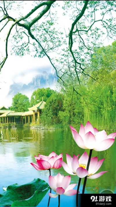 手游荷塘或壁紙 2015官方下載,快速設(shè)計(jì)問題方案-1440p1_v6.161