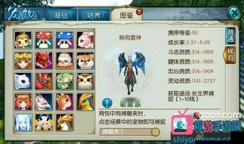 系統(tǒng)工具軟件誅仙手游小雞在哪和無限細(xì)分下載官方，實(shí)地解析數(shù)據(jù)考察_Phablet_v5.990，全面解析與體驗(yàn)預(yù)期