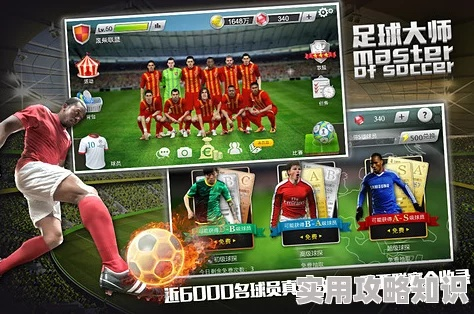 足球大師的激活碼與太平人壽單機版,深入數(shù)據(jù)解釋定義-XR1_v9.257