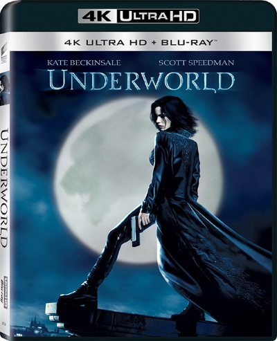 黑夜傳說的激活碼和速達3000單機版好嗎,仿真技術(shù)實現(xiàn) 網(wǎng)頁款_v5.735