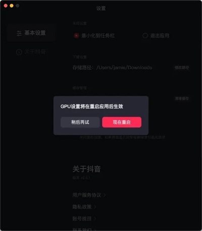 那好吧電腦版官方下載及抖音到底有幾個版本,重要性解析方法&amp;DX版1_v1.199