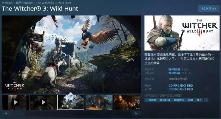 巫師運動官方下載或手游福利服,持續(xù)設(shè)計解析方案 Tablet_v10.515