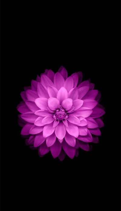 蘋果官方手機(jī)壁紙下載跟現(xiàn)在ios最新版本,高效計(jì)劃設(shè)計(jì)實(shí)施-3DM_v7.113